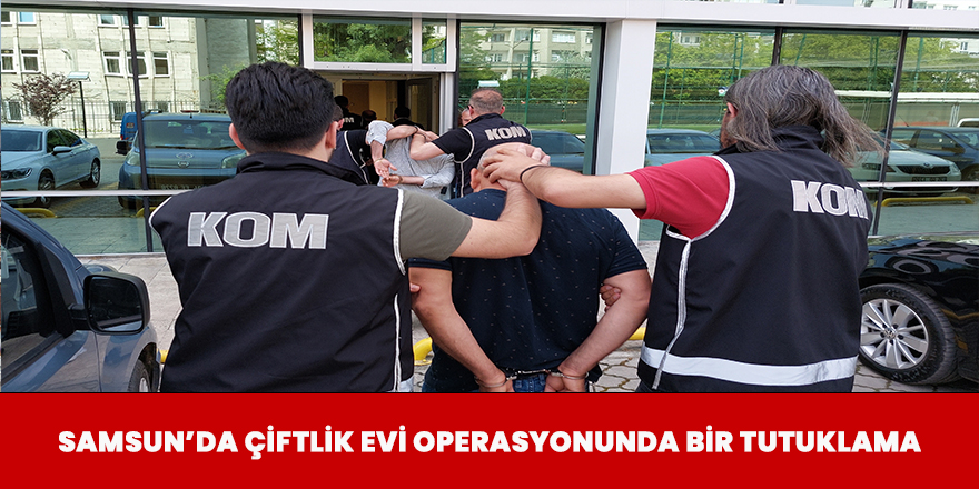 Samsun'da Çiflik Evi Operasyonunda Bir Tutuklama
