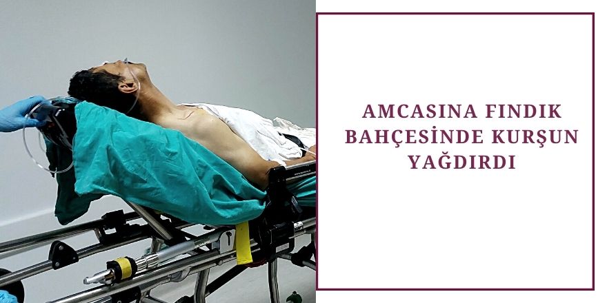 Amcasına fındık bahçesinde kurşun yağdırdı