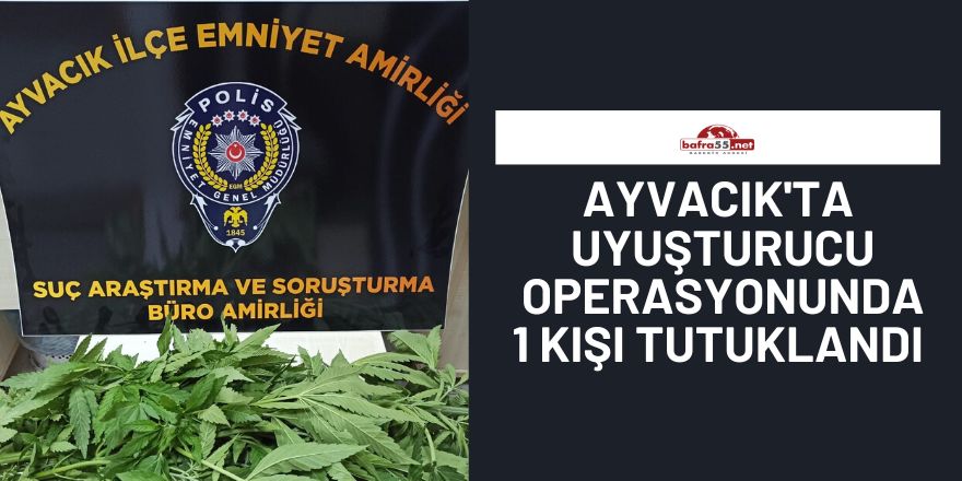 Ayvacık'ta uyuşturucu operasyonunda 1 kişi tutuklandı