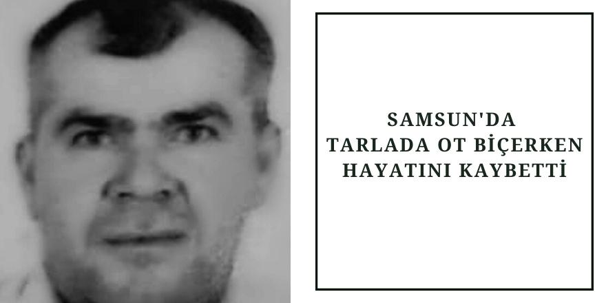 Tarlada ot biçerken hayatını kaybetti