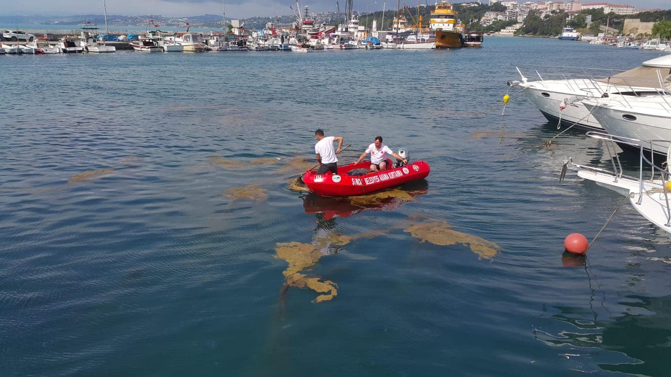 Sinop’ta deniz yüzeyinde oluşan kirlilik temizleniyor