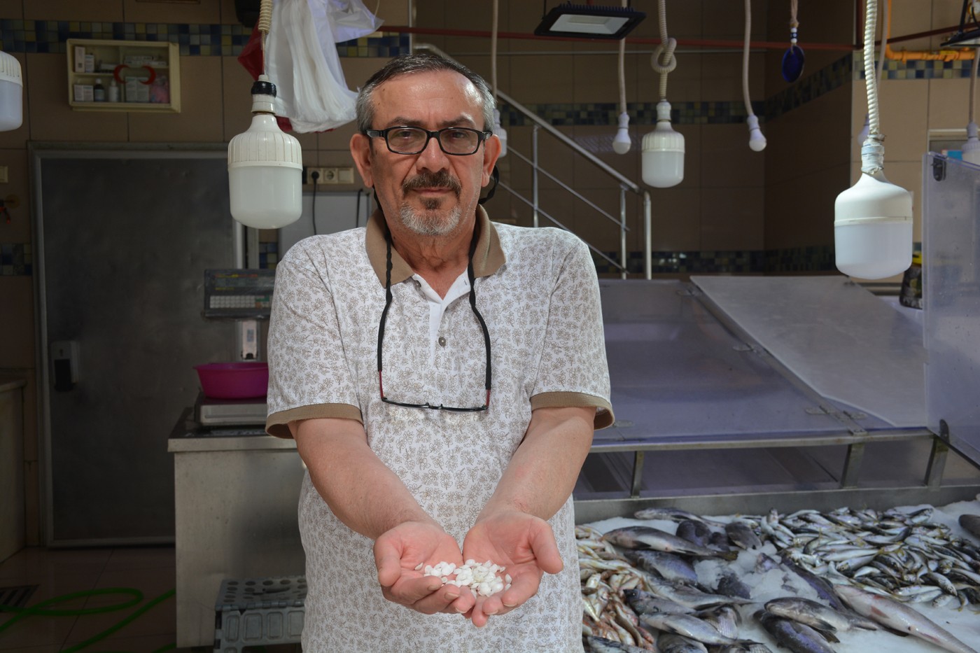 Böbrek taşı düşürdüğüne inanılan eşkina balığındaki taşlar 5 TL’den alıcı buluyor