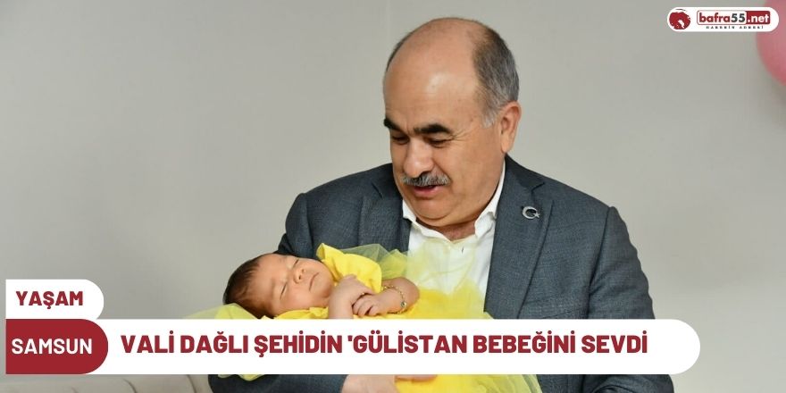 Vali Dağlı Şehidin 'Gülistan bebeğini sevdi