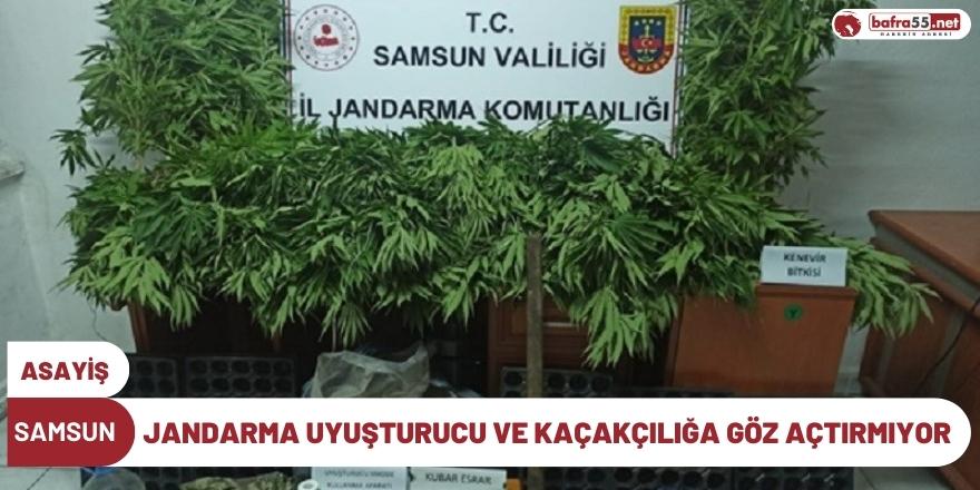 Jandarma uyuşturucu ve kaçakçılığa göz açtırmıyor