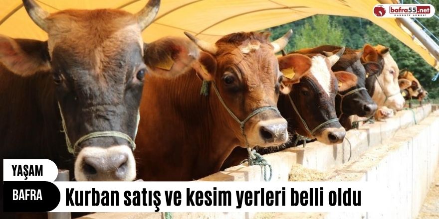 Bafra’da kurban satış ve kesim yerleri belli oldu