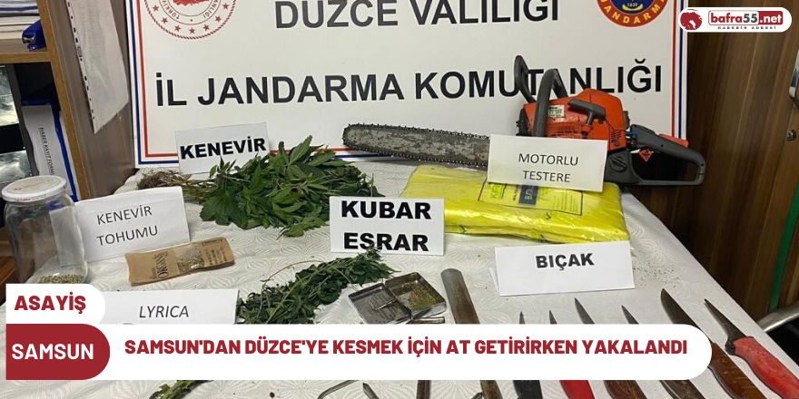 Samsun'dan Düzce'ye kesmek için at getirirken yakalandı