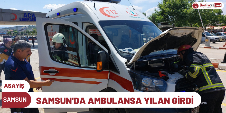 Samsun'da Ambulansa yılan girdi