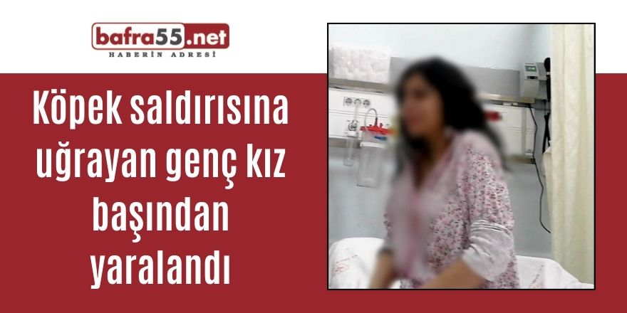 Köpek saldırısına uğrayan genç kız başından yaralandı