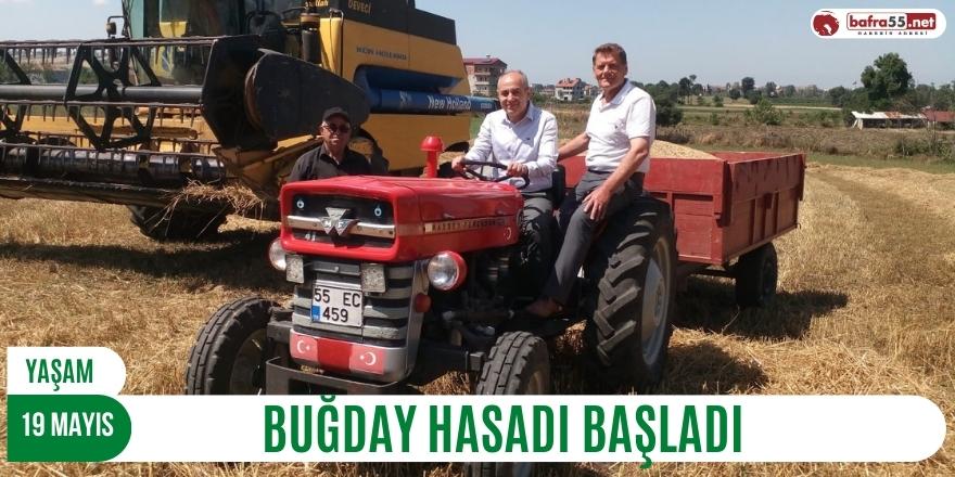 19 Mayıs'ta buğday hasadı başladı