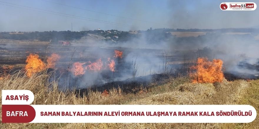 Saman Balyalarının Alevi Ormana Ulaşmaya Ramak Kala Söndürüldü