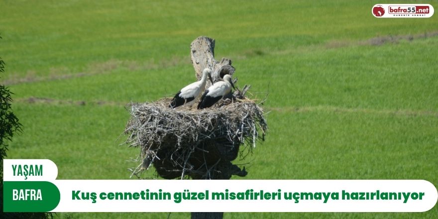 Kuş cennetinin güzel misafirleri uçmaya hazırlanıyor