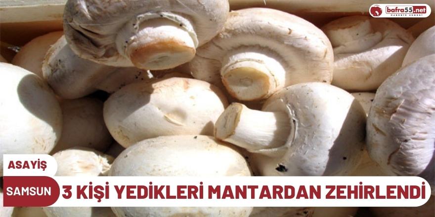 Samsun'da 3 kişi yedikleri mantardan zehirlendi