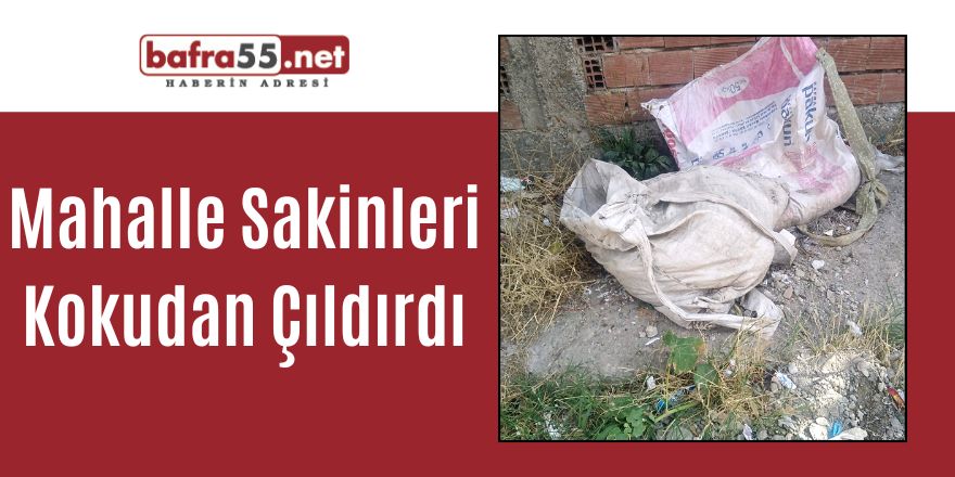 Mahalle Sakinleri Kokudan Çıldırdı