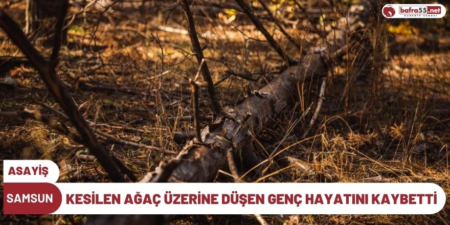 Samsun'da Kesilen Ağaç Üzerine Düşen Genç Hayatını Kaybetti