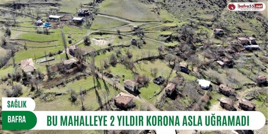 BAFRA'DAKİ BU MAHALLEYE 2 YILDIR KORONA ASLA UĞRAMADI