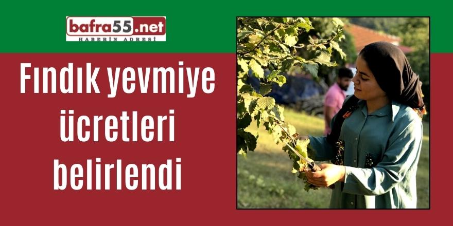 Fındık yevmiye ücretleri belirlendi