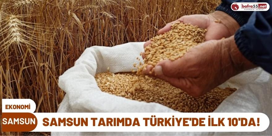 Samsun Tarımda Türkiye'de İlk 10'da!