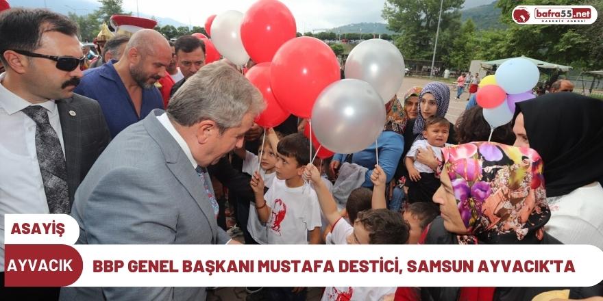 BBP Genel Başkanı Mustafa Destici, samsun Ayvacık'ta