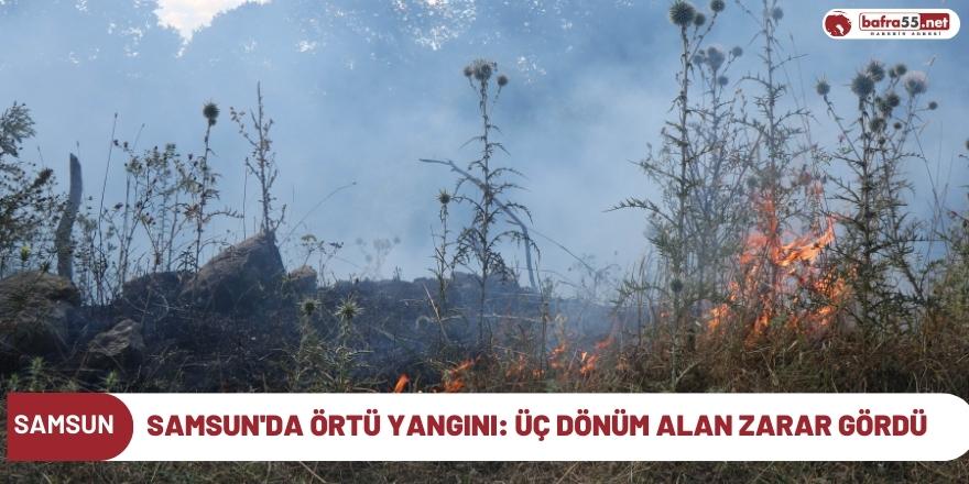 Samsun'da örtü yangını: Üç dönüm alan zarar gördü