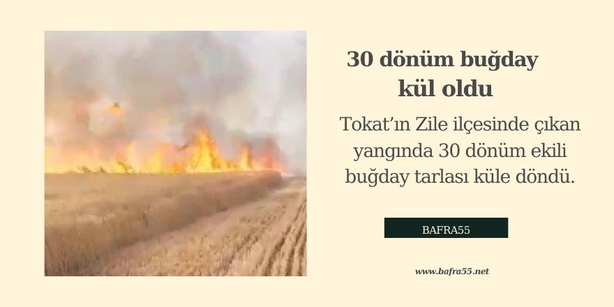 30 Dönüm buğday tarlası kül oldu