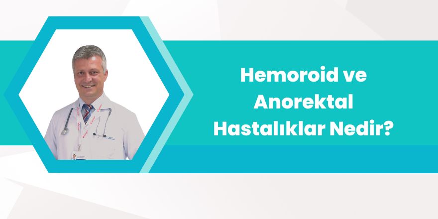 Hemoroid ve Anorektal Hastalıklar Nedir?