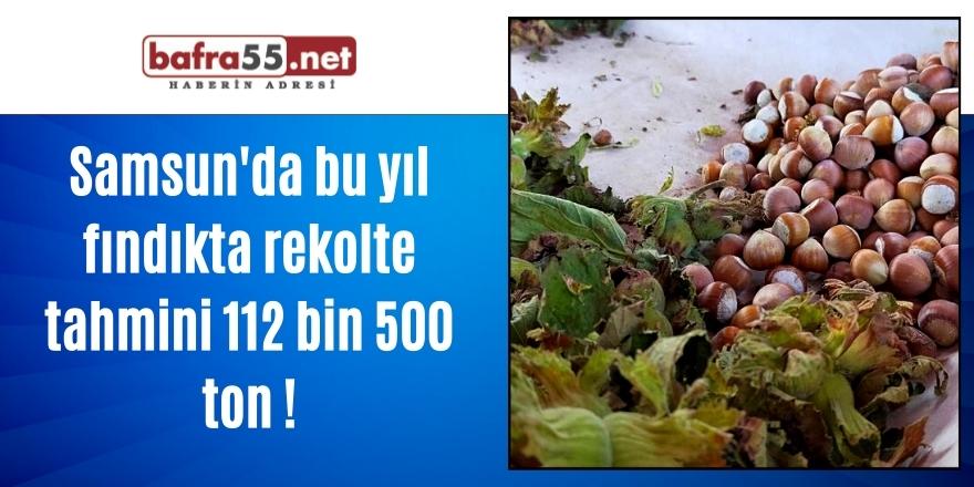 Samsun'da bu yıl fındıkta rekolte tahmini 112 bin 500 ton !