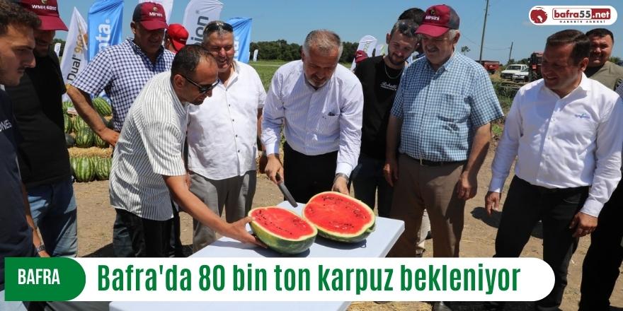 Bafra'da 80 bin ton karpuz bekleniyor