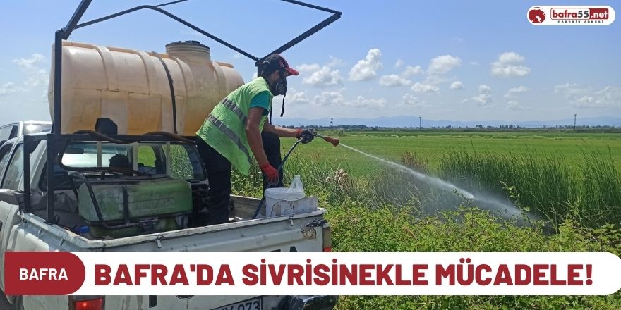 Bafra'da sivrisinekle mücadele!