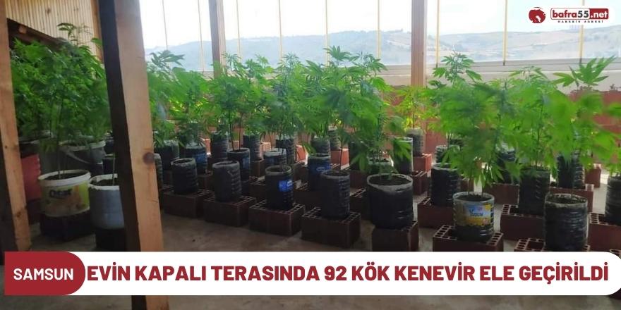 Evin kapalı terasında 92 kök kenevir ele geçirildi