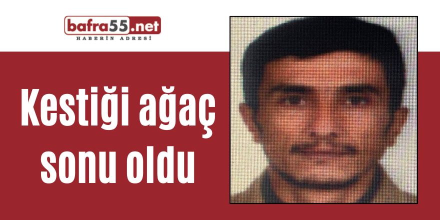 Kestiği ağaç sonu oldu