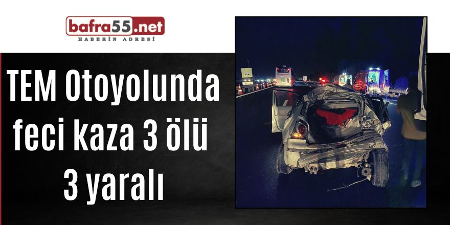 TEM Otoyolunda feci kaza 3 ölü 3 yaralı