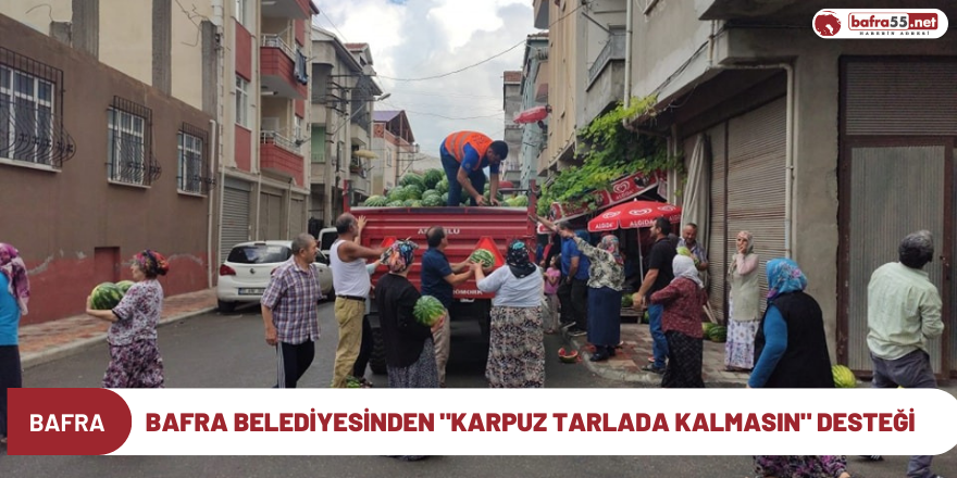 Bafra Belediyesinden "Karpuz Tarlada Kalmasın" Desteği