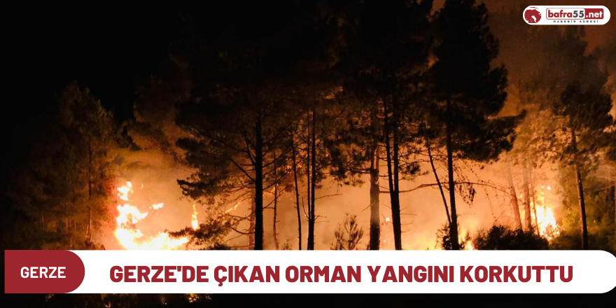 Gerze'de çıkan orman yangını korkuttu