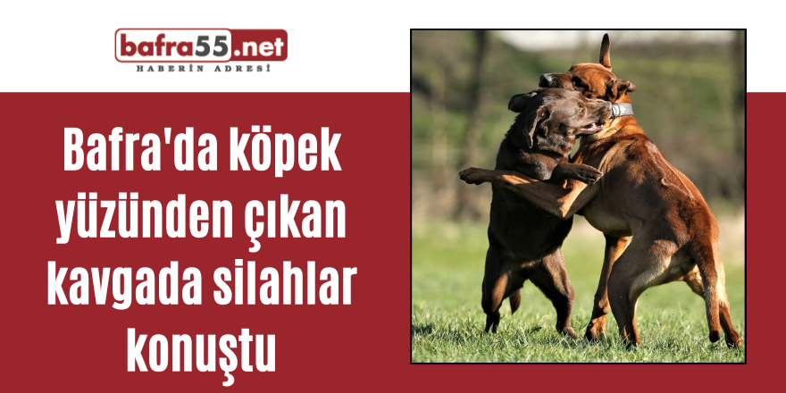 Bafra'da köpek yüzünden çıkan kavgada silahlar konuştu