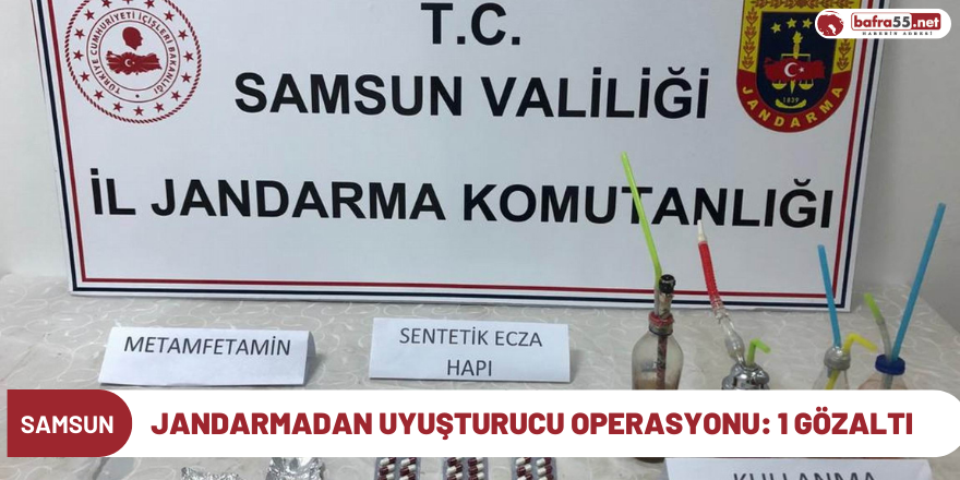 Jandarmadan uyuşturucu operasyonu: 1 gözaltı