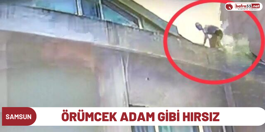 Örümcek adam gibi hırsız