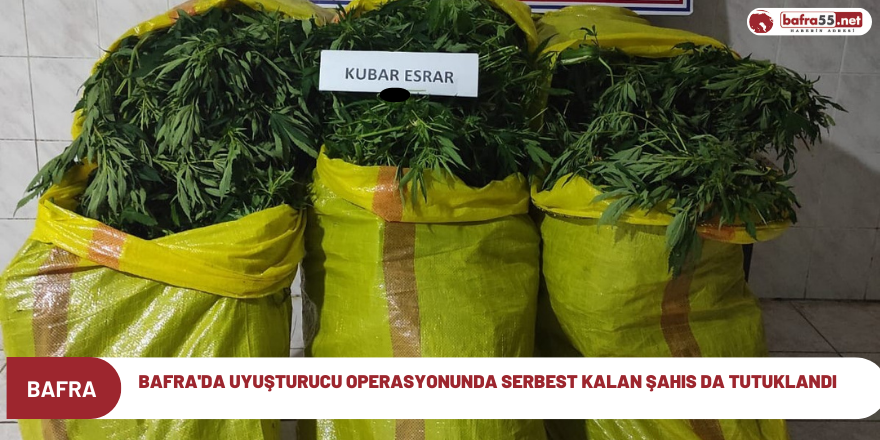 Bafra'da uyuşturucu operasyonunda serbest kalan şahısda tutuklandı