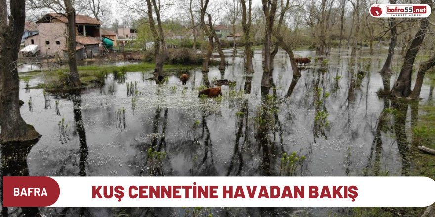 Kuş cennetine havadan bakış