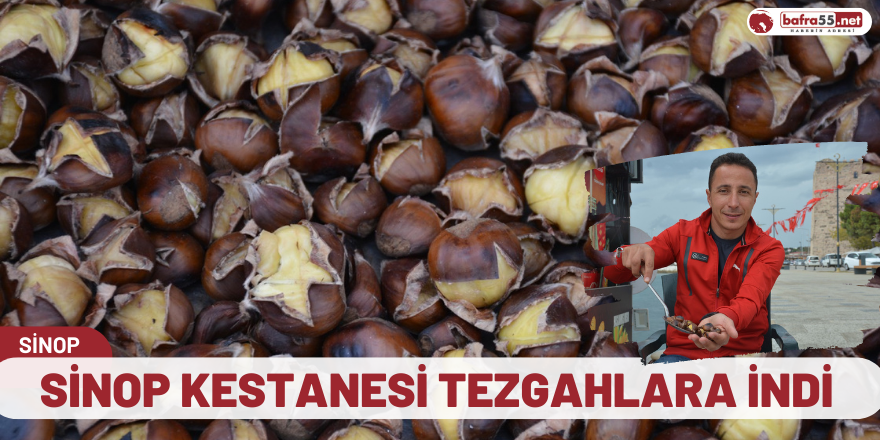 Sinop kestanesi tezgahlara indi