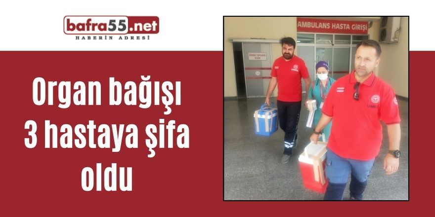 Organ bağışı 3 hastaya şifa oldu