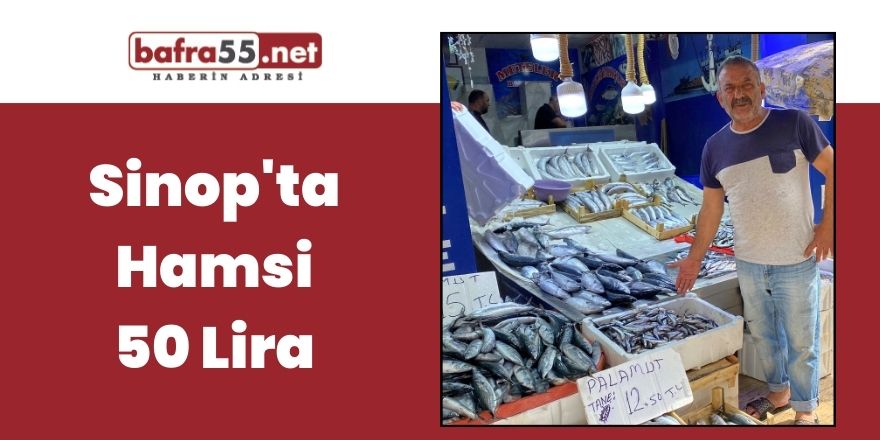 Sinop'ta Hamsi 50 Lira