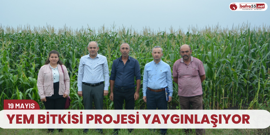 YEM BİTKİSİ PROJESİ YAYGINLAŞIYOR