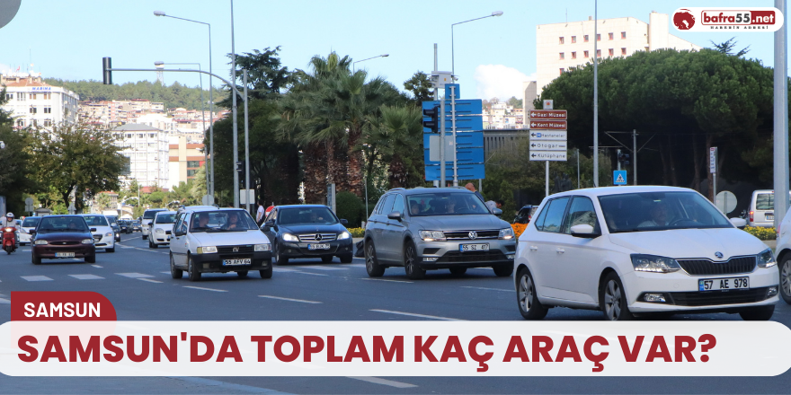 Samsun'da toplam kaç araç var?