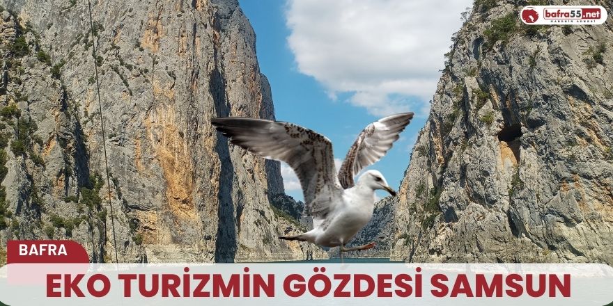 Eko turizmin gözdesi Samsun