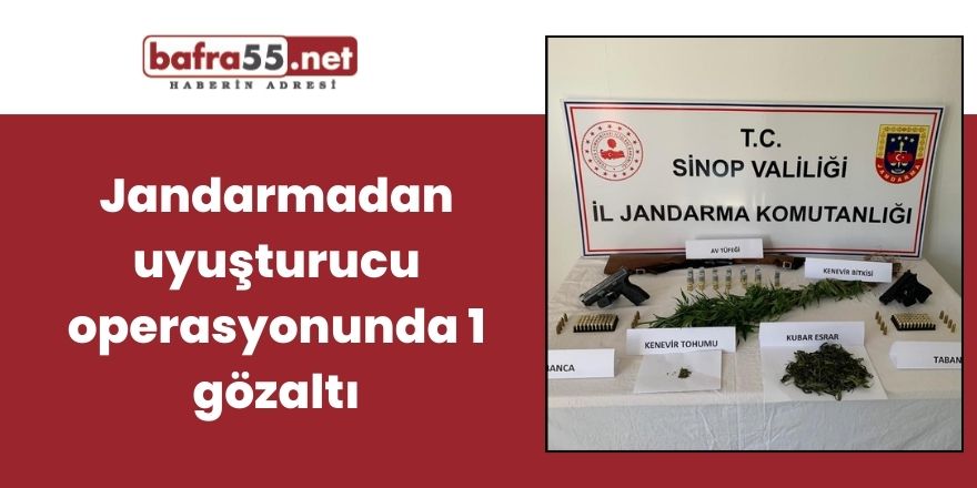 Jandarmadan uyuşturucu operasyonunda 1 gözaltı