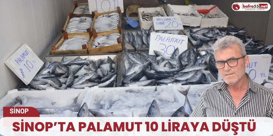 Sinop’ta palamut 10 liraya düştü