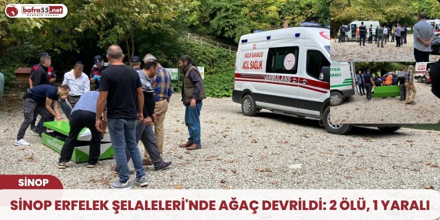 Sinop Erfelek Şelaleleri'nde ağaç devrildi: 2 ölü, 1 yaralı