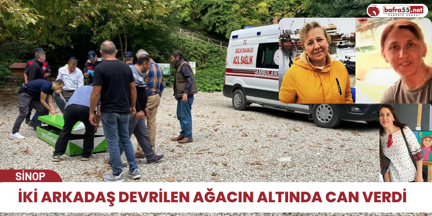 Üniversite kaydını fırsat bilen iki arkadaş devrilen ağacın altında can verdi