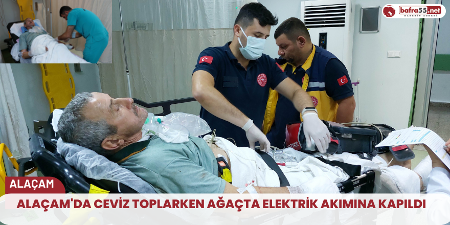 Alaçam'da ceviz toplarken ağaçta elektrik akımına kapıldı