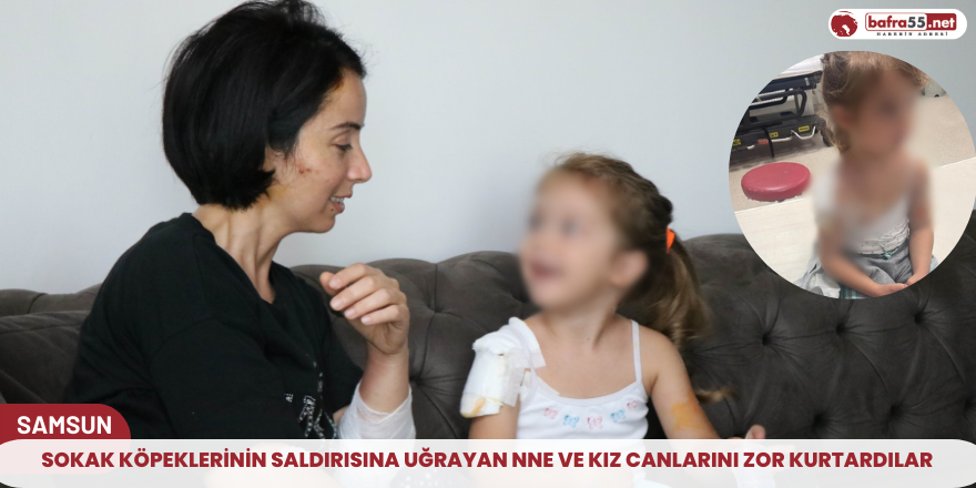 Sokak köpeklerinin saldırısına uğrayan nne ve kız canlarını zor kurtardılar